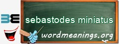 WordMeaning blackboard for sebastodes miniatus